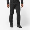 Picture of Salomon Wayfarer pants Men Deep black